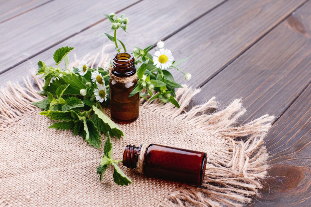 tratament-naturist-pentru-detoxifierea-organismului-tipuri-de-tratamente