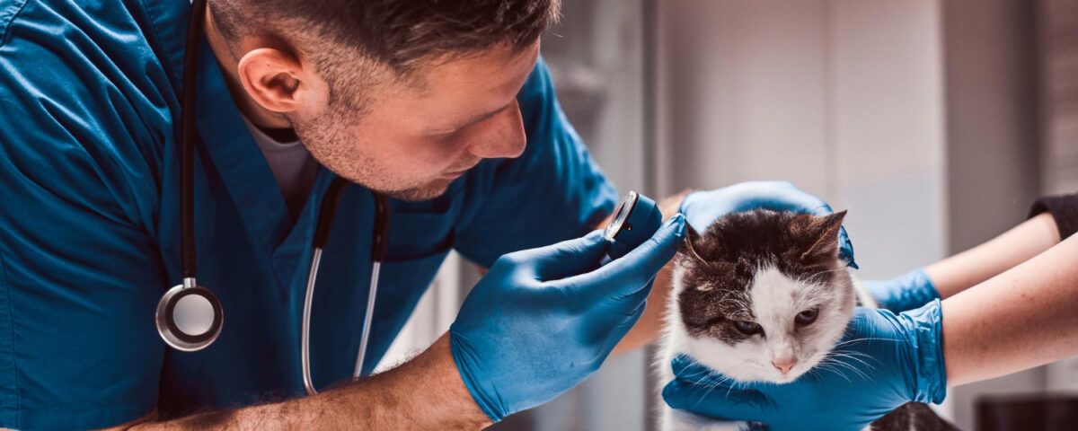 farmacie-veterinara-sector-4