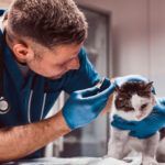 farmacie-veterinara-sector-4