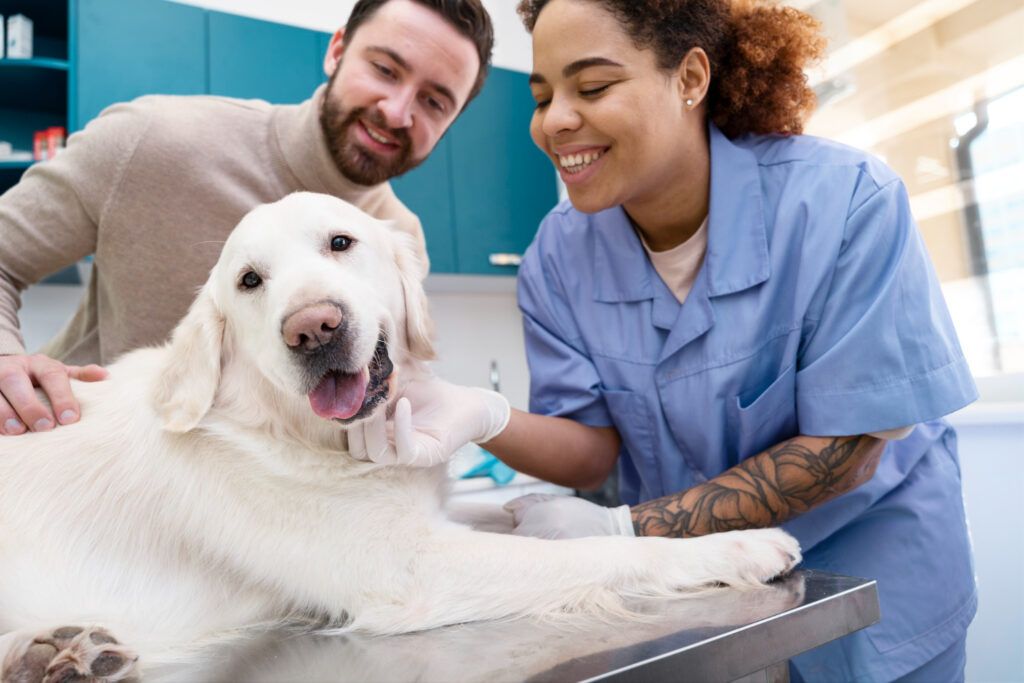 farmacie-veterinara-sector-4-3