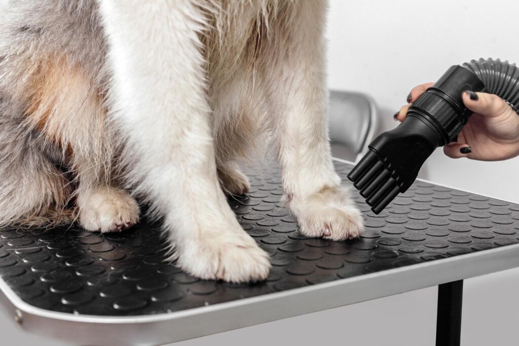 farmacie-veterinara-sector-4-7