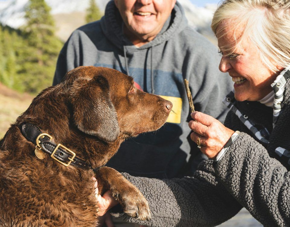 umflatura-cu-puroi-la-caine