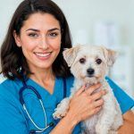 veterinar-bucuresti-1